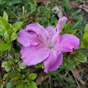 Meet your Posher, Hailey